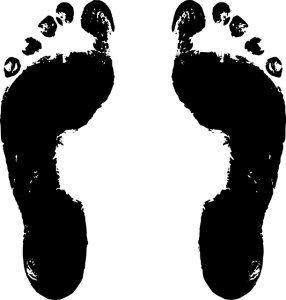 חשיבות מדרסים למניעת דורבן